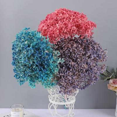 China Yunnan Huiyang Factory Supply Fresh Real Long Stem Dried Flower Preserved Hydrangea for sale