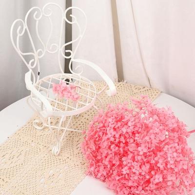 China Real Fresh Other Decorative Flowers And Plants Real Touch Preserved Dried Stem Hydrangea For Wedding Decoration Home Decor for sale