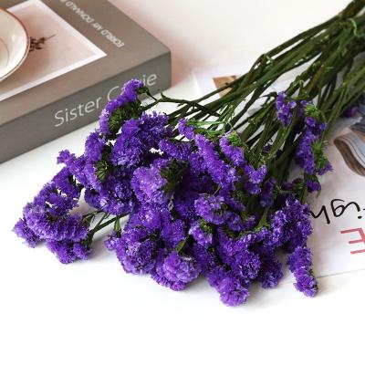 China Fashion/Hot Selling Yunnan Flores Dried Preserved Flower Eternal Forget-Me-Not Lasting Decorative Myosotis For Decoration for sale