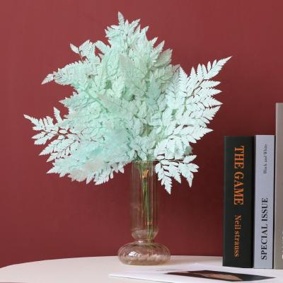 China Fashion/Hot Sale Yunnan Preserved Flower Plant Dried Natural Green Leaf Alpine Preserved Fern For Home Decor for sale