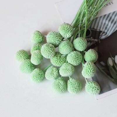 China 2022 Hot Selling/Fashion Wholesale Billy Button Balls Craspedia Globosa Dry Flowers For Home Decoration for sale