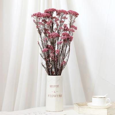 China Fashion Hot Sale / 2022 Hot Sale Preserved Natural Dried Flowers Millet Flowers Flowers For Mother's Day for sale