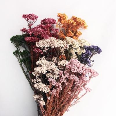 China New Product Bridal Ideas Bouquets Bridal Bouquets Durable Preserved Flower Rice Flower Eternal Indoor Decorative Flowers for sale