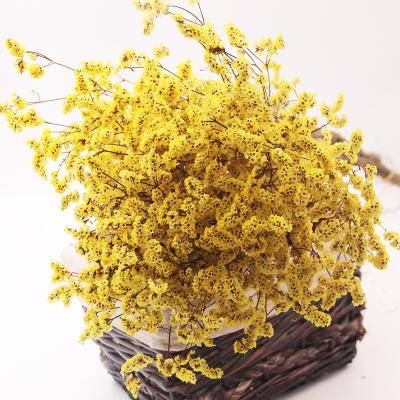 China 2022 Hot Sale Good Quality Immortal Flowers Durable Preserved Crystal Grass Flowers For Party Decoration for sale