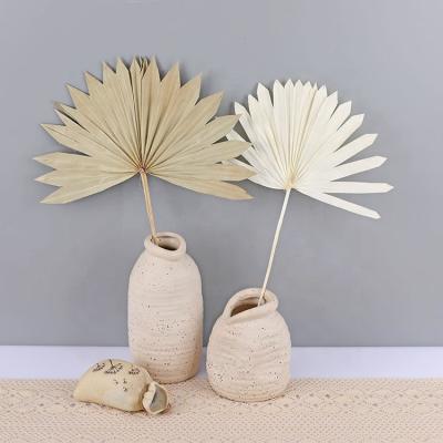 China Real Palm Leaves Dry Palm Leaves Natural Dry Fan Leaf Palm Fronds 10 Stems Natural Dry Pampas and Palm For Boho Decor for sale