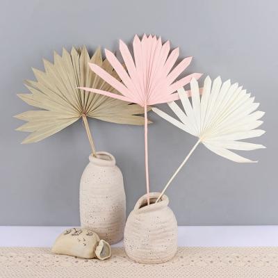 China Real Palm Leaves Wedding Centerpiece Decor Party Dry Fan Palm Leaf Dried Natural Gold Mini Palm Spear Stems for sale