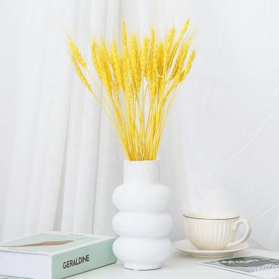 China Fashion/hot sale high quality colorful natural dry wheat stems dry flowers for home decoration for sale