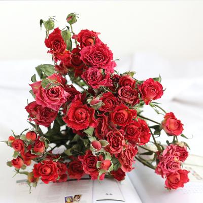 China Amazon Hot Seller Touch Real Natural Dry Rose Buds Flower Bouquets With Stem Dried Rose For Weeding Decoration for sale