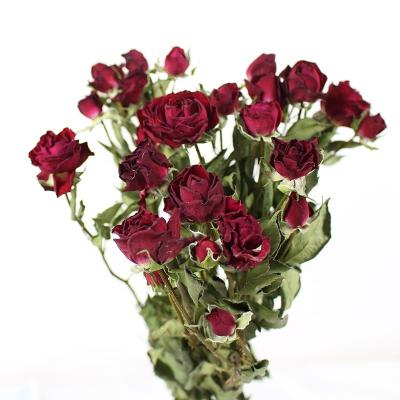 China Cheap Price Real Rose Dry Flowers Long Life Natural Dry Touch Dried Stem Roses Bouquet for sale