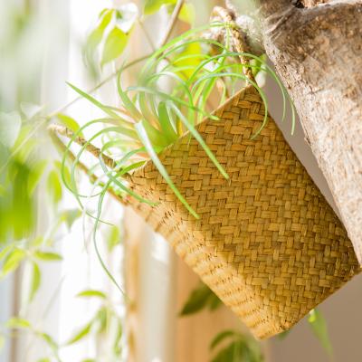 China Modern Hot Selling Home Storage Amazon Garden Large Plant Baskets Flower Pot Hanging Woven Basket for sale