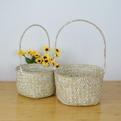 China 2 Pcs Vegetable Plankton Garden Basket Desktop Plant Modern Handmade Woven Flower Pot With Handle for sale