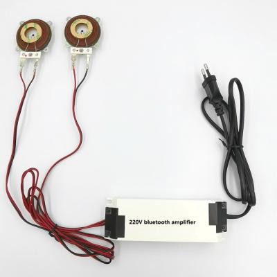 China Power Speaker / DVD Player 20W Mini Audio Power Amplifier For Bathroom Mirror for sale