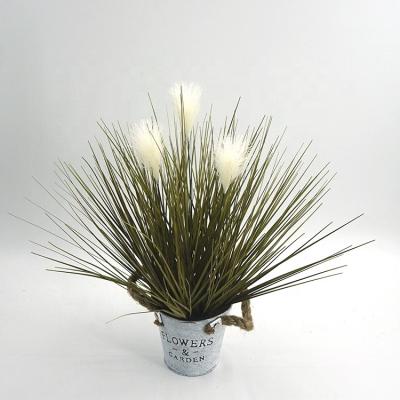 China Minimalist Cheap Price Artificial Reed Decoration 38cm 3 Heads Artificial Table Plants In Iron Pot for sale