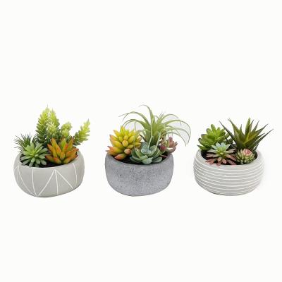 China Artificial Succulent Plants 14cm Mini Decorated Plastic Flowers Flower Arrangement Durable Accessories In Cement Pot for sale