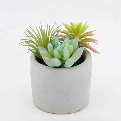 China Durable Office Home Decoration Small Artificial Succulent Bonsai Plants With Cement Pot for sale