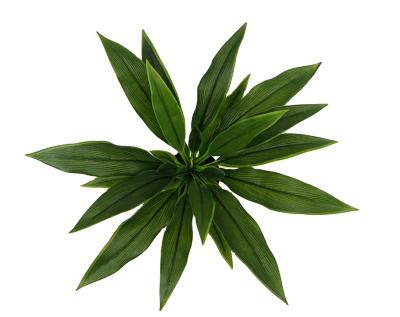 China Touch Minimalist Artificial Plastic Real Green Dracaena Artificial Table Plants for sale