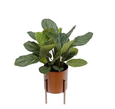 China Minimalist 60Cm Real Touch artificial Calathea bonsai artificial small potted plants with iron frame for sale