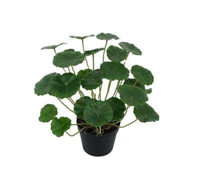 China 27 real touch eco-friendly high quality durable artificial lvs 30cm hydrocotyle decorative artificial plant for Home Office for sale