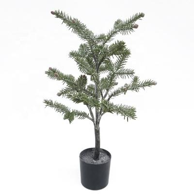 China PE House Plant Indoor Artificial Tree Frosted Pine Christmas Decoration Home 50cm Frosted Pine In Plastic Pot for sale