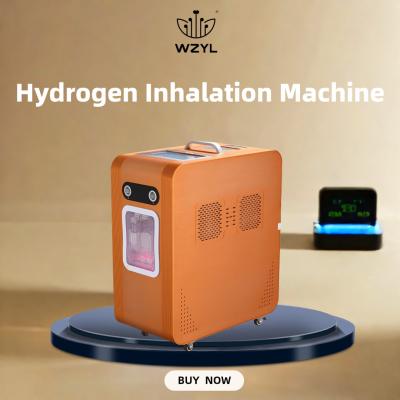 China AC220V Hydrogen Oxygen Inhaler Hydrogen Inhaling Machine 3000ml/M for sale