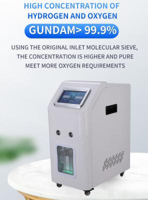 中国 水素吸入 3000ml そして水素バイオ燃料 PEM 燃料電池 家庭用 販売のため