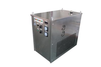 China Pem Cell Hydrogen Gas Generator CE Stainless Steel Housing For Industry Boiler for sale