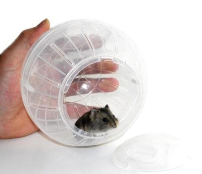 China Viable Plastic Pet Rodent Mice Pulsating Ball Toy Hamster Gerbil Rat Exercise Balls Play Toys for sale