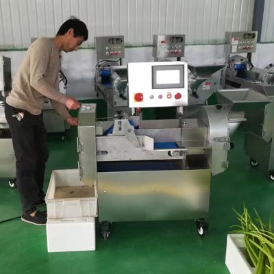 China High Efficiency Easy Operate Commercial Vegetable Bananas Pineapple Fruit Dicing Cutting Machine for sale