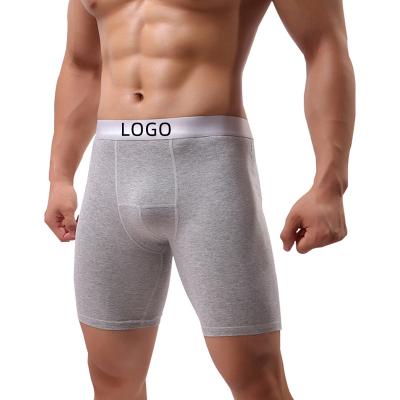 China 2022 New Logo Wholesale 95 Cotton 5 Spandex Antibacterial Custom Boxer For Men's Boxer Briefs Men's Underwear for sale