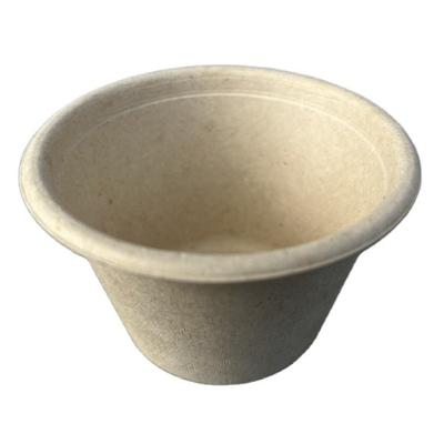 China Disposable Biodegradable Sugarcane Party 4Oz Cup Eco Friendly Bottom for sale