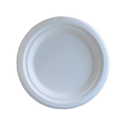 China Eco Friendly Disposable Disposable Disposable Bagasse Pulp Sushi Dishes Dishes for sale