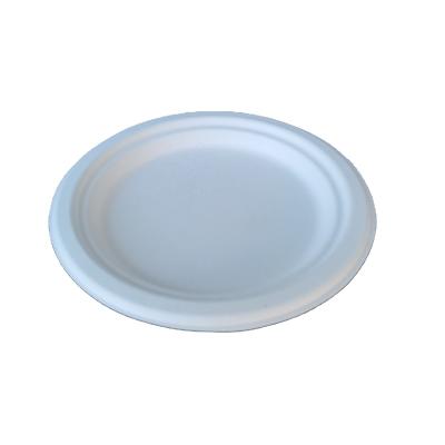 China Disposable Biodegradable And Compostable Sugar Cane Customized Bagasse Dishes Restaurant Dishes for sale