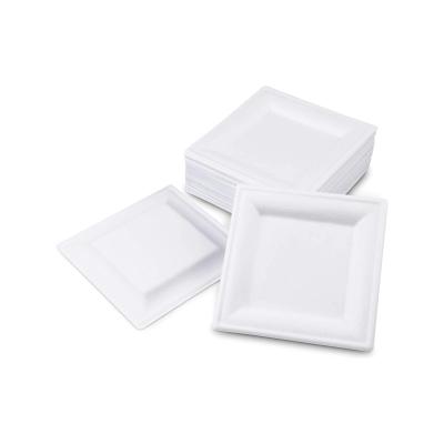 China Food Grade Disposable Bagasse Disposable Food Container 16/20/26 cm Square Dish Tray for sale