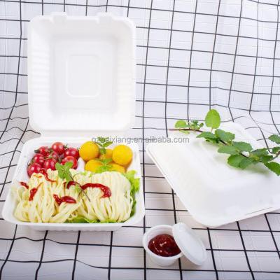 China Disposable Sugarcane Bagasse Clamshell Cane Bagasse Lunch Box With Customer Logo 3Compartments for sale