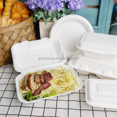 China Hot Selling Disposable Bagasse Clamshell 10 Inch 2 Compartment Food Container Eco-friendly Take Out Pulp Box for sale