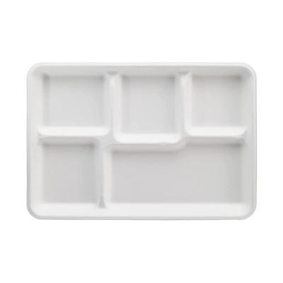 China Large 5 Compartment Bagasse Disposable Biodegradable Takeaway Lunch Box Disposable High Quality Eco-friendly Bagasse for sale