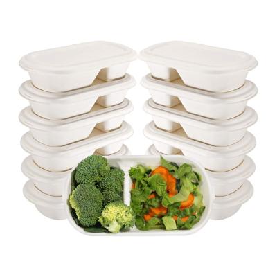 China Disposable 850ml 2 Compartment Bagasse Rectangular Food Containers Eco Friendly Biodegradable Pulp Disposable for sale