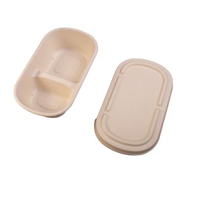 China Minimalist Factory Direct Biodegradable Bagasse Sugar Cane Paper Food Container for sale