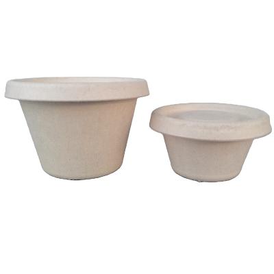 China Biodegradable Disposable Biodegradable Cup Bagasse Pulp Sauce Seasoning Fully Biodegradable Cup for sale