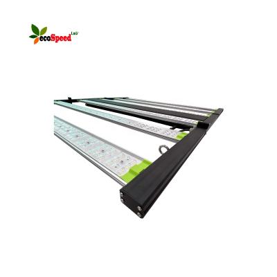 China Seed Starting 120W UV Grow 100W Light Bar 800w Full Spectrum 2700k LED Grow Light for sale