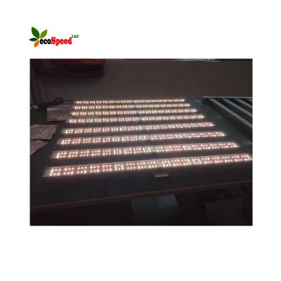 China Seed Starting 6500K 3000K 5 Channels LED Grow Light For Growing Led Tomato Plant Battery Operated Indoor Light for sale