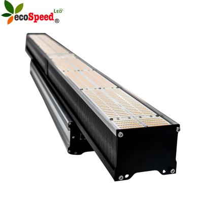 China seed starting 3.0umol/d high ppf lm301h lm301b led grow light 600w full spectrum led grow lights for indoor plants for sale