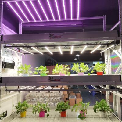 China Seed Starting 24W Led Grow Light For Plant Vertical Agricultural Strip And Indoor Growing Plants for sale