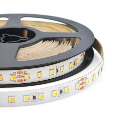 China Hotel 24V 23W/M Flexible Warm White Color CCT 3014 LED Cool White Dimmable LED Strips Double Strips LED Ribbons for sale