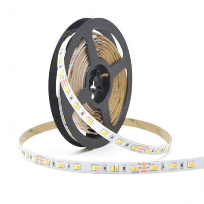 China Hotel 2835SMD 90Ra 2oz 3oz Copper PCB Flexible Warm White 2700K Cool White White Layer FPC & 6500K TDC Dual LED Strips LEDs for sale