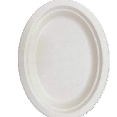 China Paper 8 Inch Disposable Dinner Plate Environmentally Friendly And Biodegradable Round Dinner Serving Plates for sale