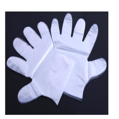 China Anti-dirty Disposable Glove PE Food Disposable Glove Sales for sale