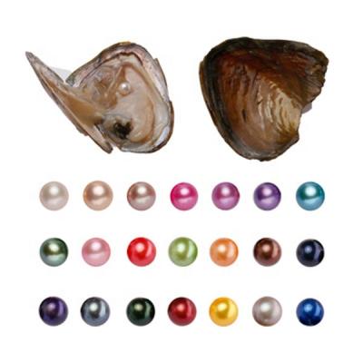 China Jewelry Making Bulk Wholesale Freshwater Wish Oyster With Wish Pearl 6-8mm Natural Round Pearls for sale