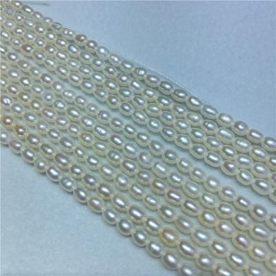 China Jewelry Making 3mm Natural Freshwater Tiny Pearl Beads Rice Shape Loose Wholesale Pearl Strands 3A for sale