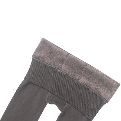 China Breathable High Elastic Women Extra large XXL size fleece lined 200g/230g thick warm legging for winter for sale